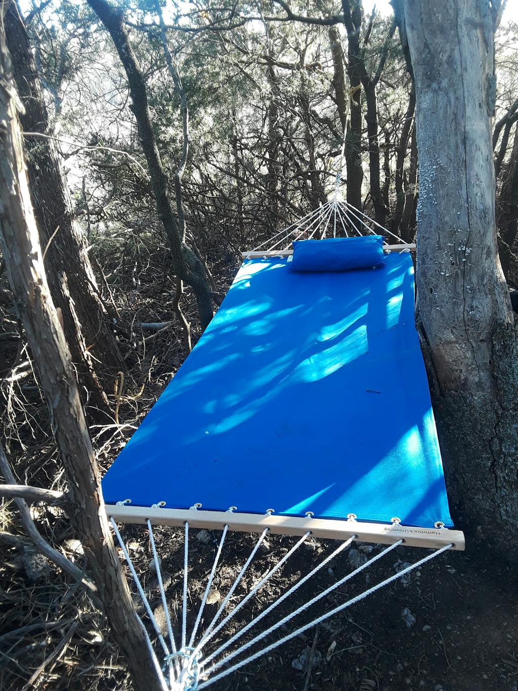 Olefin Hammock Single Hammock Universe Hammock Universe USA